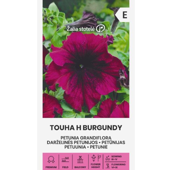 Petunia